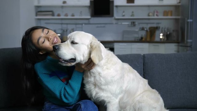 Caring young owner kissing, embracing and stroking her golden retriever four-legged friend in domestic room. Huge dog and attractive tender hindu female cuddling next to each other on sofa