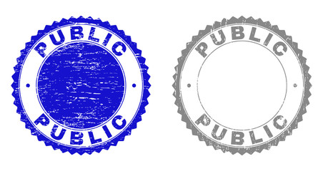 Grunge PUBLIC stamp seals isolated on a white background. Rosette seals with grunge texture in blue and gray colors. Vector rubber watermark of PUBLIC title inside round rosette.