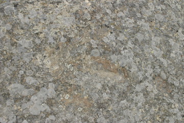 Dinosaur footprints in Revenga. Village of Burgos.  Castilla y Leon. Spain