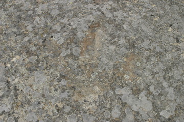 Dinosaur footprints in Revenga. Village of Burgos.  Castilla y Leon. Spain