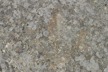 Dinosaur footprints in Revenga. Village of Burgos.  Castilla y Leon. Spain