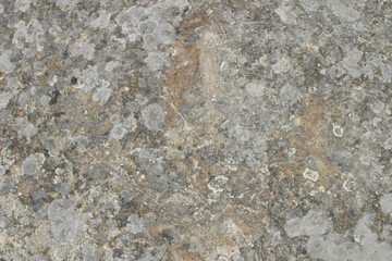 Dinosaur footprints in Revenga. Village of Burgos.  Castilla y Leon. Spain