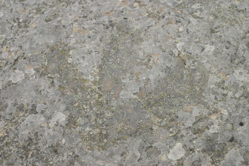 Dinosaur footprints in Revenga. Village of Burgos.  Castilla y Leon. Spain