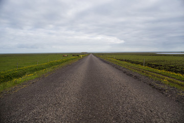 Image of country road in Iceland.