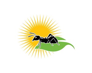 Ant Logo template vector illustration