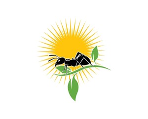 Ant Logo template vector illustration