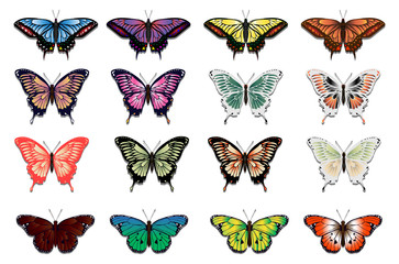 Set of sixteen multicolored butterflies