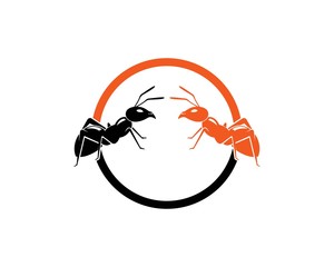 Ant Logo template vector illustration