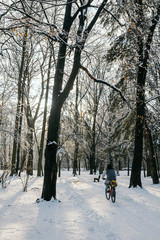 Man Riding Bicycle Amidst Trees During Winter