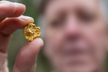 Unidentifiable man looking at a gold nugget found while prospecting in Victoria Australia