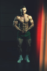 Fototapeta premium Portrait Of A Fitness Muscular Man