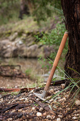 Gold prospectors pick axe against a tree in Victoria Australia - obrazy, fototapety, plakaty