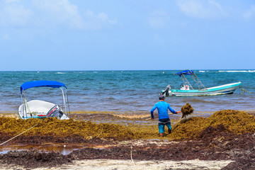 Sargazo en Riviera Maya