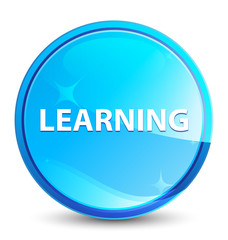 Learning splash natural blue round button