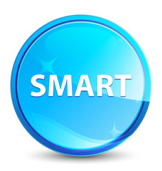 Smart splash natural blue round button