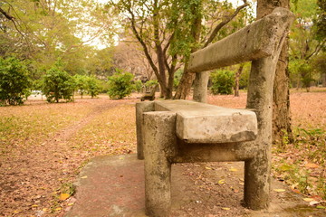 Picture of a n empty bench inside a city park