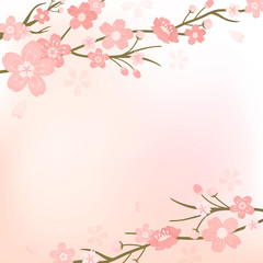 Fototapeta na wymiar Cherry blossom background illustration