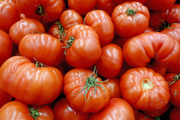 Many red large tomatoes on the counter in the market