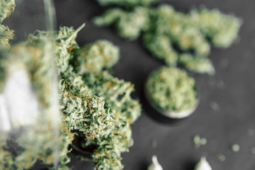 weed Joint Macro of cannabis buds marijuana with trichomes