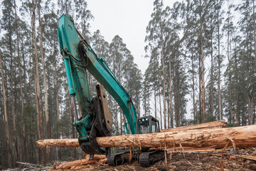 Heavy forestry bulldozers at work at a logging coupe in Victoria Australia