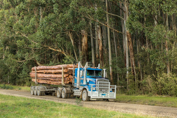 Convertible logging truck on a road in country Victoria, Australia © Michael Evans