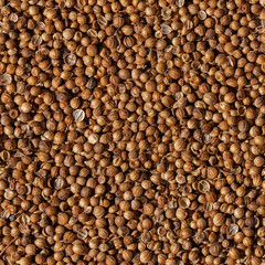 Tileable Coriander Seed Texture