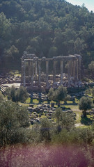 Obraz premium Euromos ancient city (antik kenti)