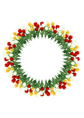 チューリップ05