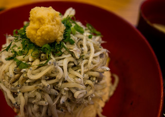 shirasu don(rice topped with Japanese small fish), Kamakura’s famous food, Japanese food