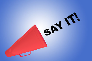 SAY IT! concept