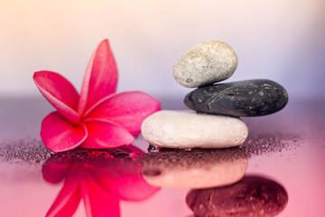 Spa concept of zen stones and frangipani flower on black reflective board.