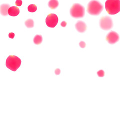 Pink rose petals falling vector valentine background.
