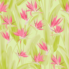 Fototapeta na wymiar Tropical crane flower vector seamless pattern. Jungle exotic tropical plant fabric design. South African plant tropical blossom of crane flower, strelitzia. Floral textile print.