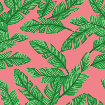Vector seamless composition green banana leaves living coral background