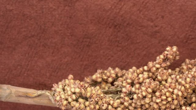 Cluster of white sorghum seeds on textured bark paper background, top view slider pan
