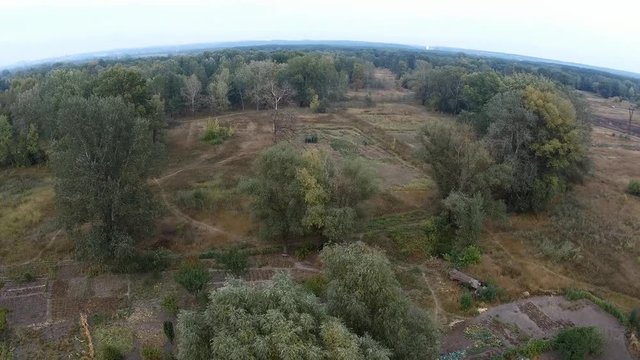 field aerial photography with the beds and trees alone