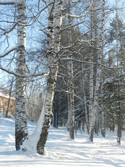 My Ural, my house