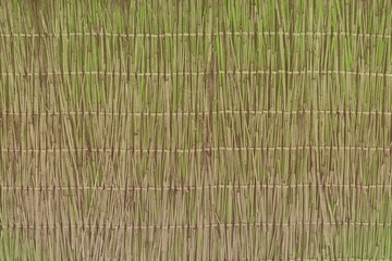 green aged cane fence texture - fantastic abstract photo background
