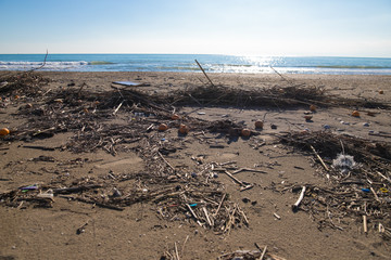 Marine pollution: plastic waste on the beach.
