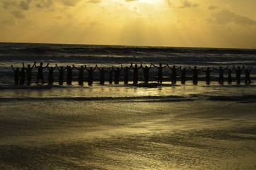 Fototapeta premium Unity...