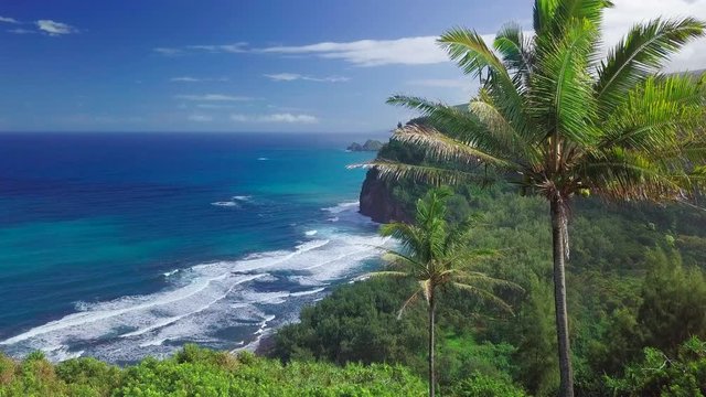 Green tropical coast of the Pacific ocean with palm trees and steep cliffs. Big Island, Hawaii