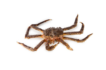 Crab sea-food Far East isolated on white background