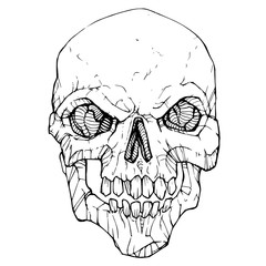Vector illustration of scull isolated on white background - vector graphic