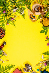 Wild and Healing herbs concept, flat lay, top view