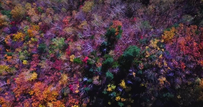 Amazing top aerial view of autumn colourful wood of Dalnegorsky mountain pass in Sikhote-Alin mountain range. Russia