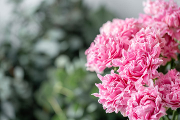 unusual pink rose in the vase on the wooden rustic table. Flower shop concept