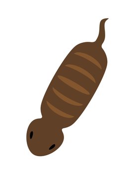 ツチノコ
