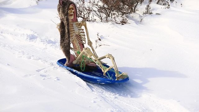 Funny Skeleton in Winter Hat Sledding on Snowy Hill - Shallow Depth of Field.