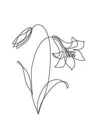 continuous line drawing of flower