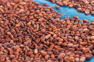 Cocoa beans and cocoa pod